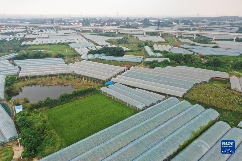 免费申请彩金